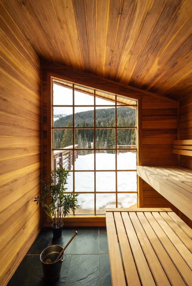 Sauna with snow view
